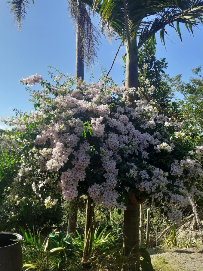 Ibiúna Chacara Cantinho Da Paz المظهر الخارجي الصورة